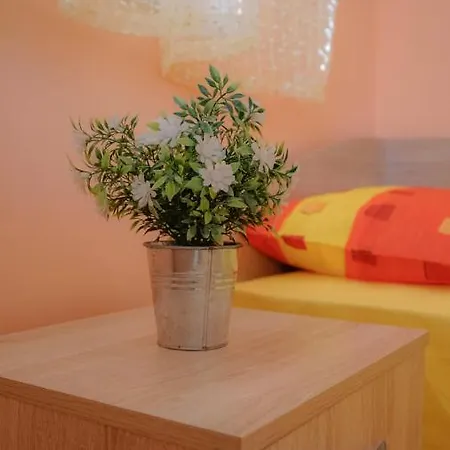 Tatyana Affittacamere